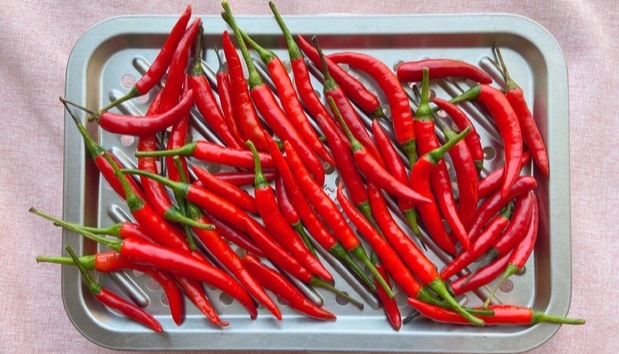 野山椒泡椒和小米辣泡椒,自做泡野山椒方法步骤