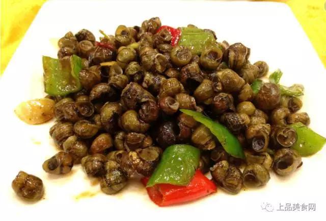 炒田螺与田螺酱哪个好吃,抓田螺炒田螺视频完整版
