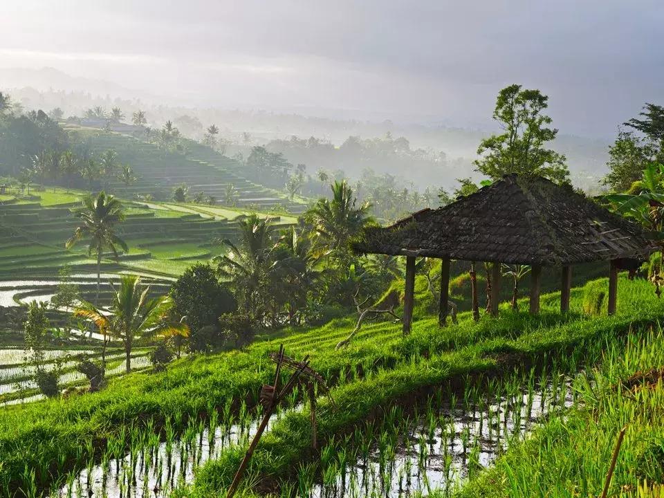 每天二十五美元如何玩转巴厘岛？他做到了