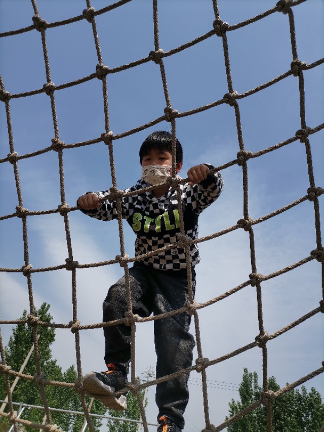 古县牡丹园游记作文,牡丹园游记