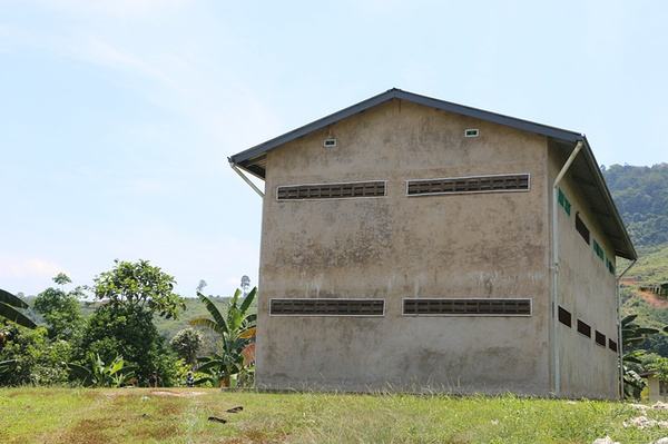 认识燕窝,带你走进神奇的燕窝世界