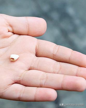 英语原版阅读：ALostTooth