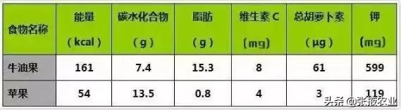 牛油果的健康骗局,牛油果是个骗局么