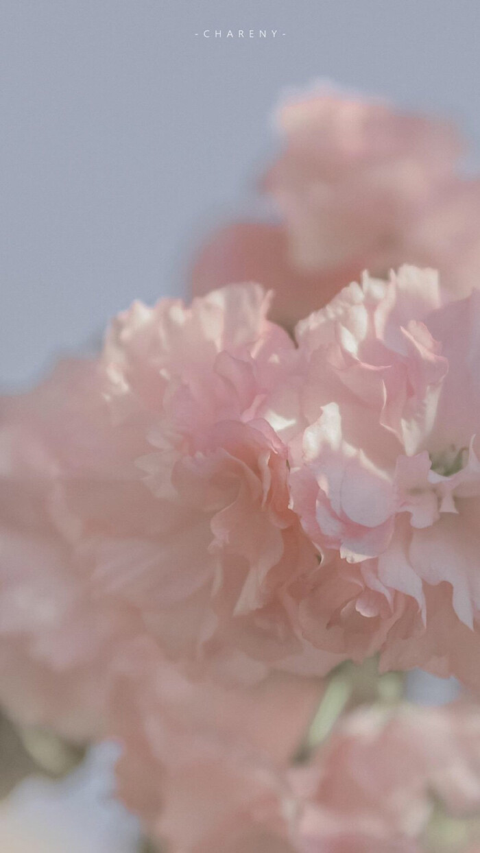 清新温柔小短句,温柔小短句24句