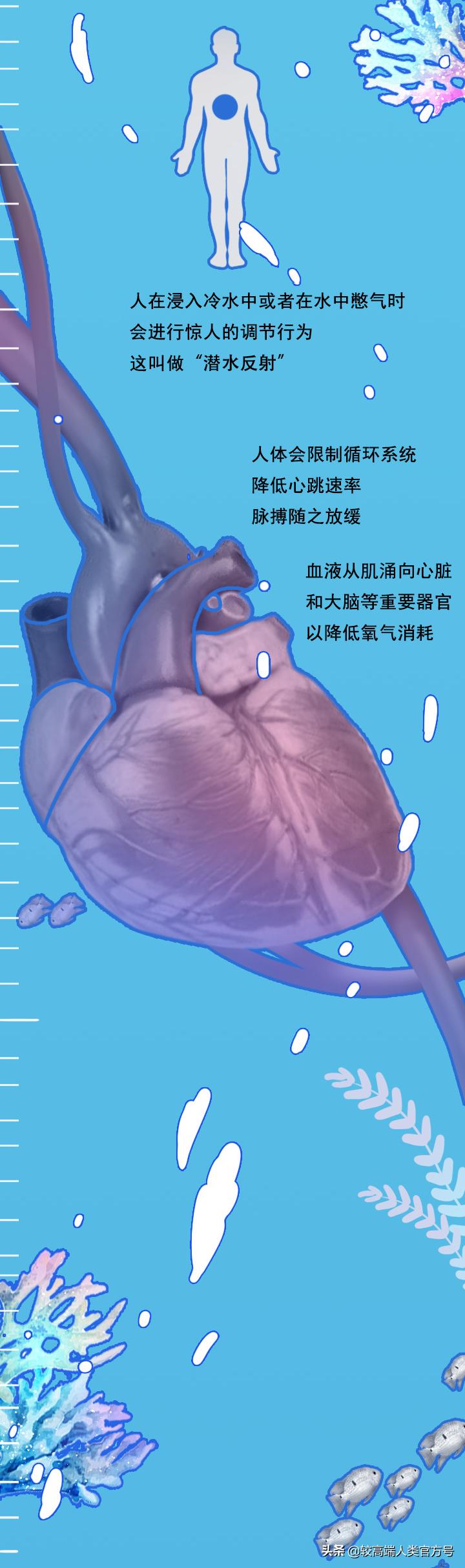 手机掉进水里十几秒有问题吗,手机掉入1000米