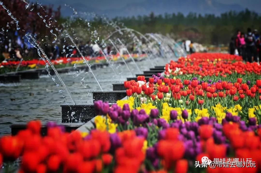 带娃周边3-4天自由行攻略,又到周末要带娃