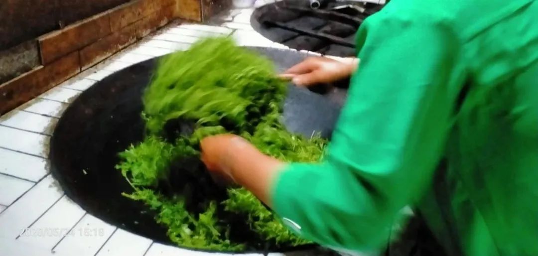 张家界的莓茶是什么植物,张家界的特级莓茶40克多少钱一盒