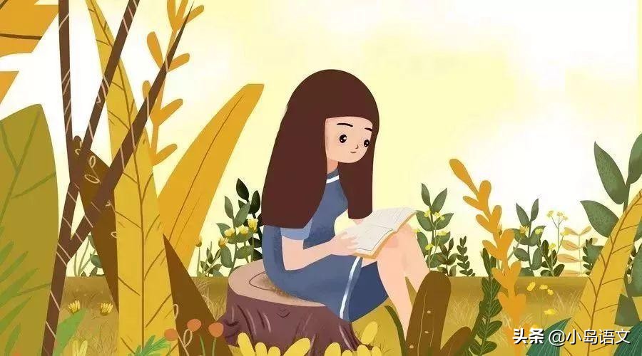 期末语文复习最佳方法,语文期末考试复习方案