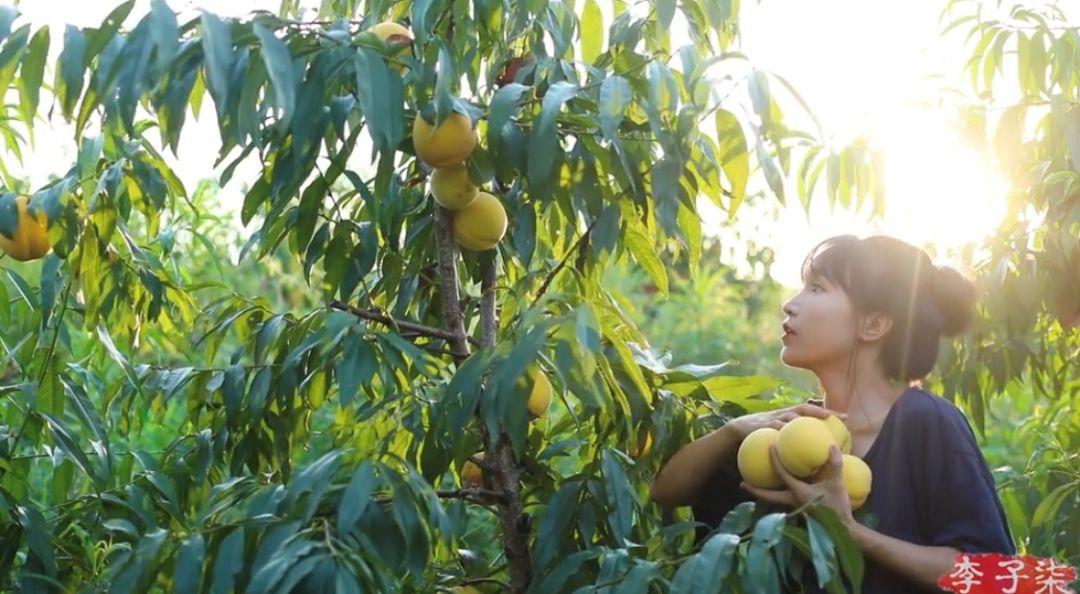 抖音快速涨粉攻略,抖音涨粉1000技巧