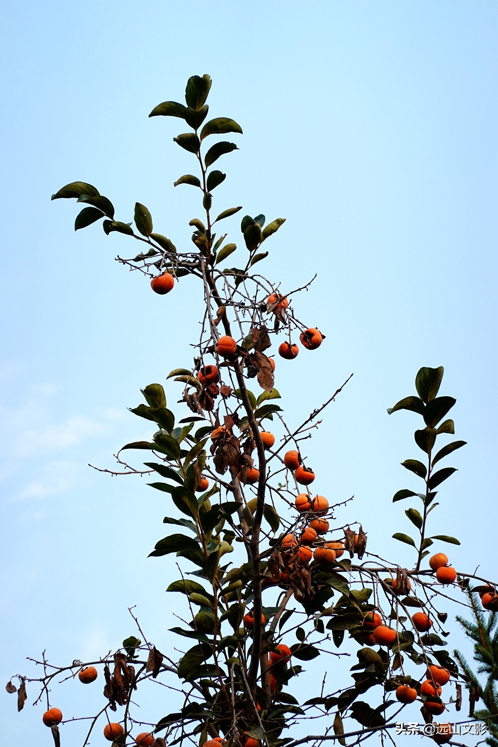 索尼黑卡二怎么拍,索尼黑卡2大光圈拍视频