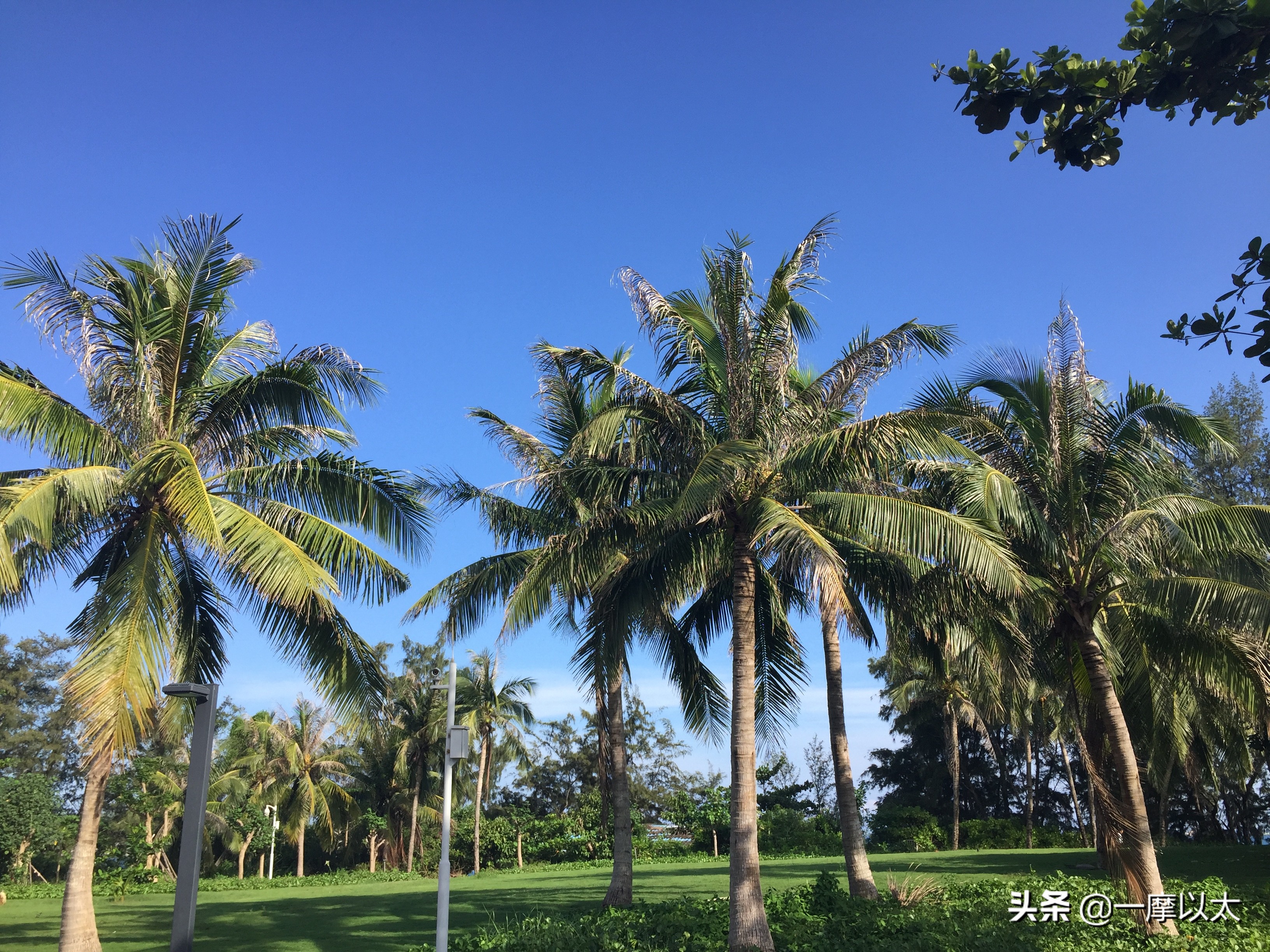 中国十大最美海滩之三亚亚龙湾,三亚哪个湾的海滩最美景色最好