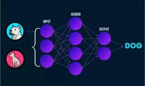 深度学习图灵架构和帕斯卡,图灵奖得主本科