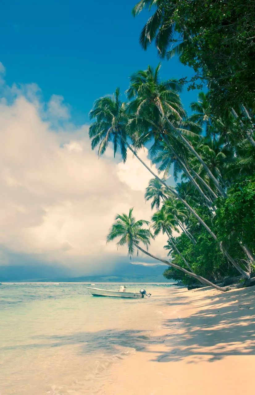 宅家最舒服的景区,宅家最好玩的地方