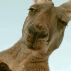 微信的语音通话怎么才能保存下来,如何保存微信的聊天视频