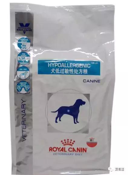 毛孩子乱吃东西被主人发现,毛孩子乱吃东西主子的真实反应