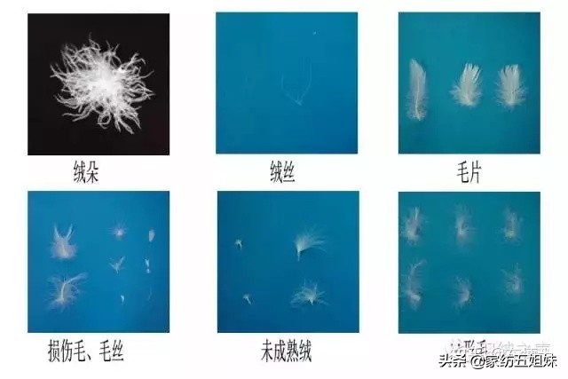 羽绒被跑毛是什么原因,怎么辨别羽绒被会不会跑绒