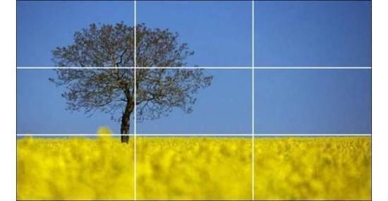 短视频创作灵感拍摄技巧,拍摄高质量短视频教学