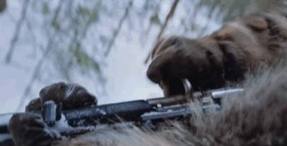 2019年度十大国产烂片盘点,2019上半年烂片扎堆