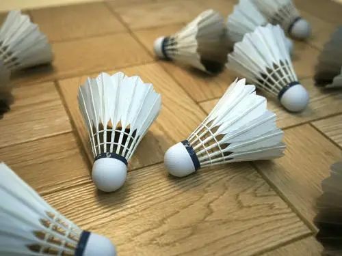 学羽毛球两年能走特长生吗,如何考羽毛球特长生