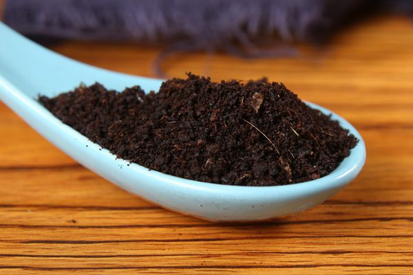 麝香酒米闻起来是什么味道,麝香闻着难闻