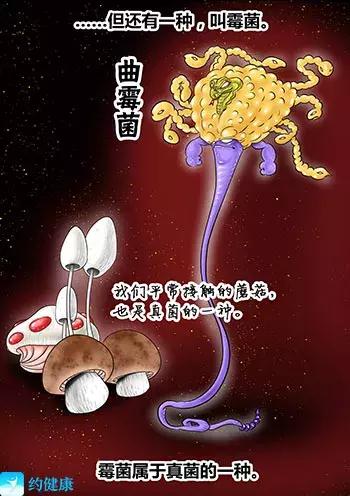 游泳耳朵里进水排不出来怎么办,游泳耳朵进水像堵了一层膜听不清