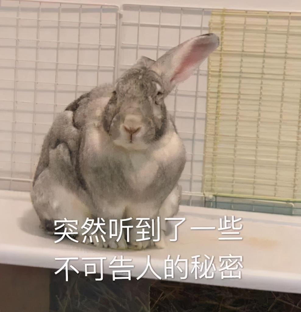 家庭多人小游戏,适合家庭三人玩的游戏大全