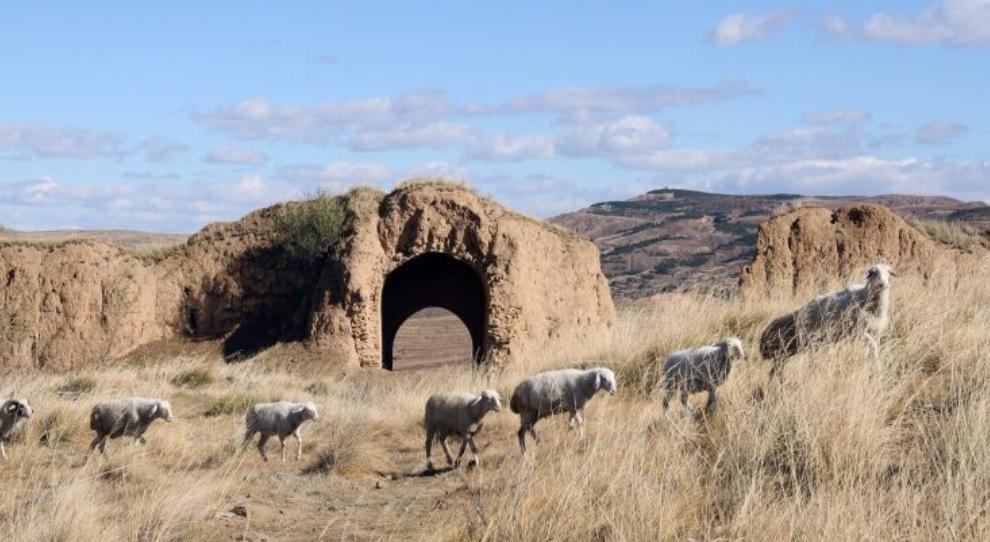 大同城市转型,大同即将要崛起是真的吗