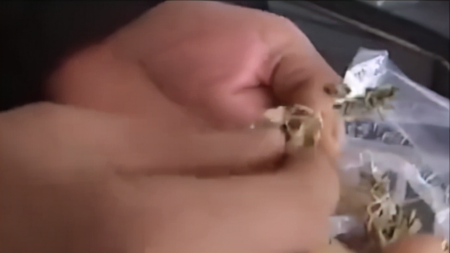 湖南文盲老太成神医了吗,湖南文盲老太被称华佗再世