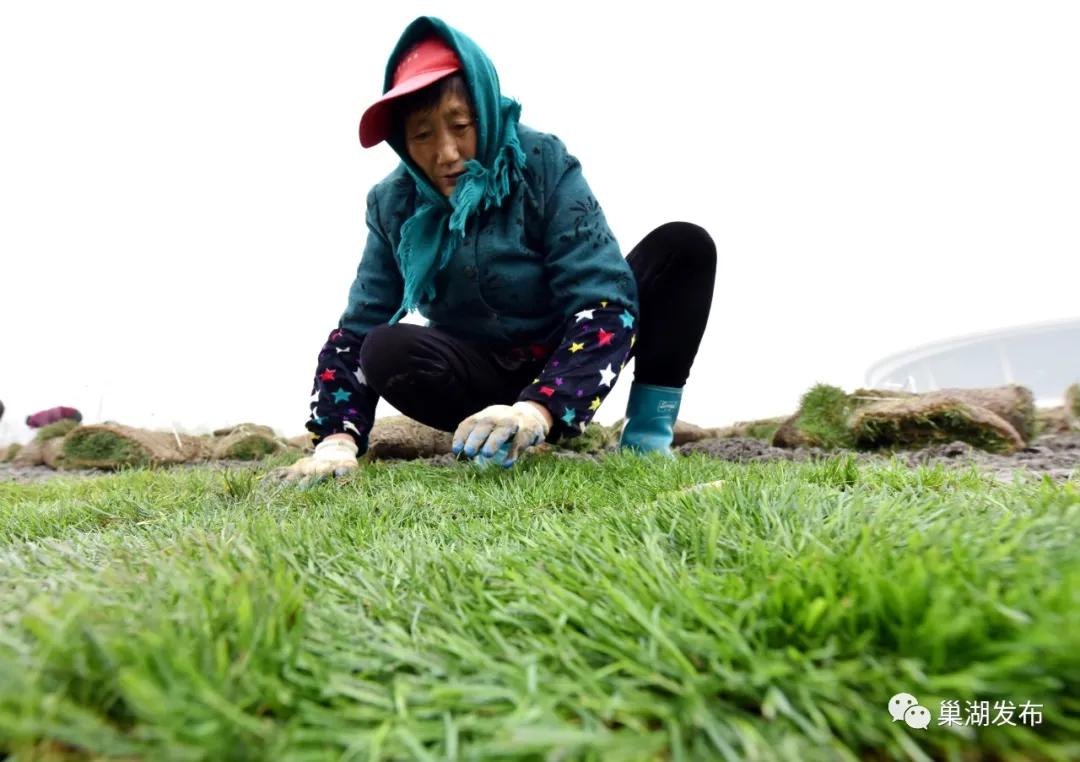 最好的人工草坪足球场,人工草坪足球场建设全过程