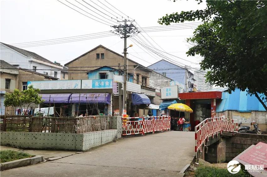 慈溪打听猫,慈溪要搬迁的村庄