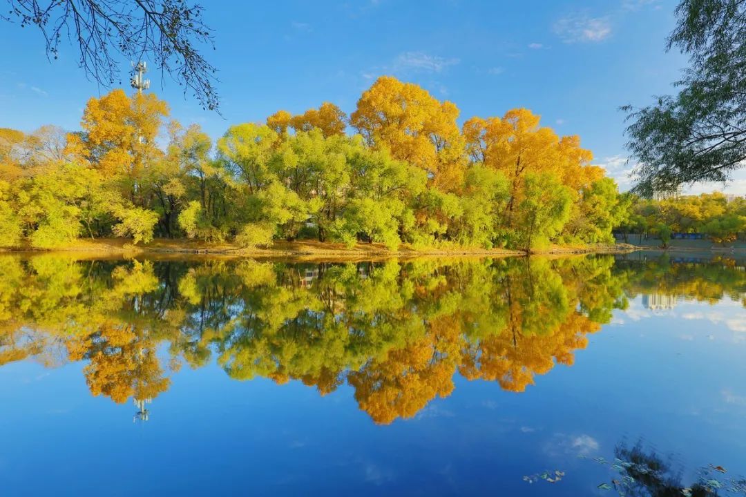 仙鹤起舞水粉画,仙鹤起舞展翅飞
