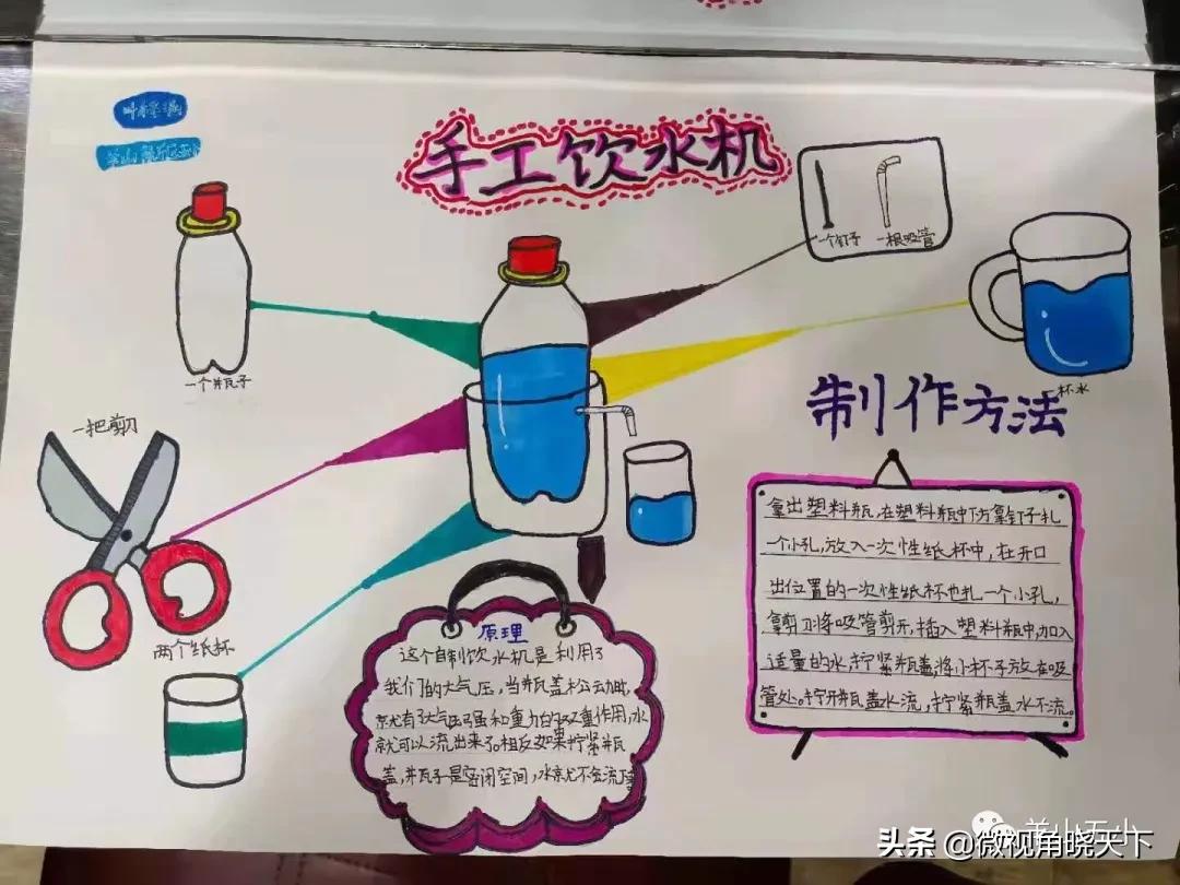 信阳市劳动技能大赛,劳动创造幸福劳动实践活动