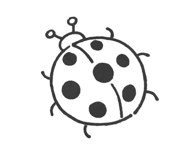 简笔画大全带步骤幼儿园,简笔画分步骤2岁