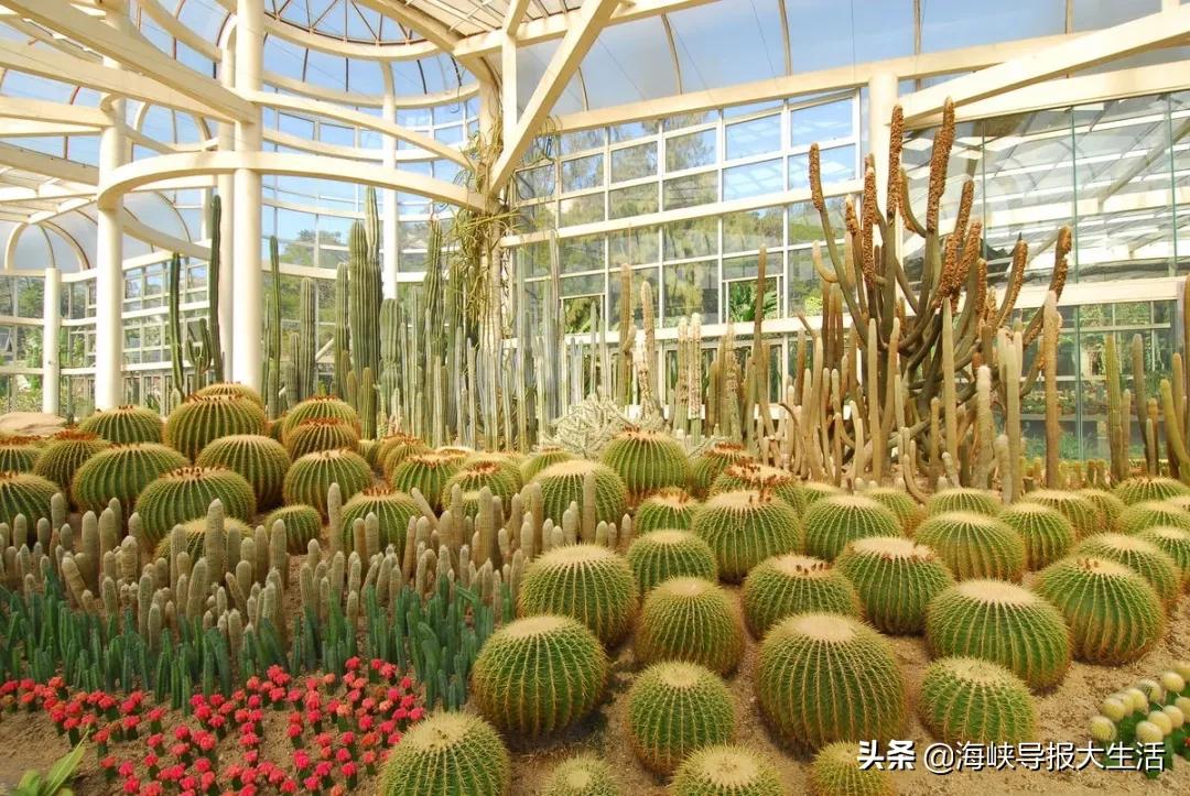 厦门旅游年卡新增,厦门旅游年卡景区预约攻略