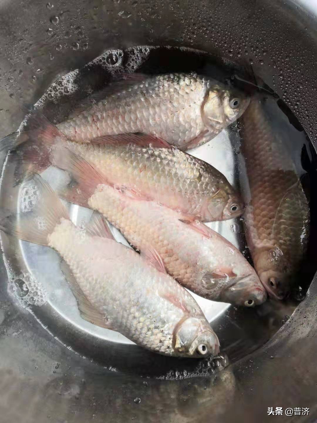 居家厨房挑战视频,鲫鱼处理全过程