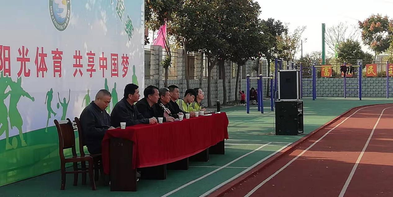 阜南田集镇足球联赛,阜南县足球比赛小学