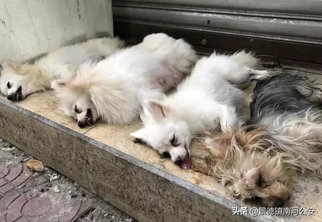 “割声带、截肢、电击，当爱变成我的噩梦”