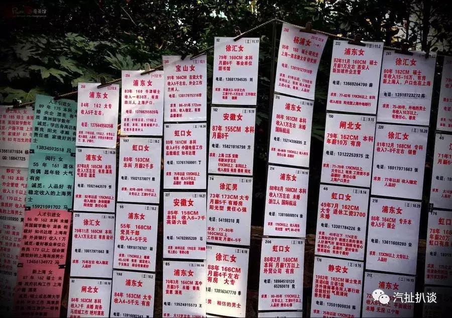 不生孩子不买房不炒股却成了赢家,不生孩子的年轻人有多快乐