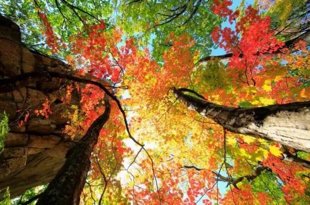 沈阳游玩景点攻略,沈阳游玩景点推荐泡温泉