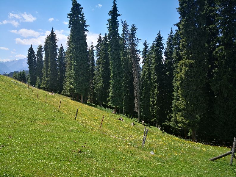 江布拉提照片,江布拉提农家乐