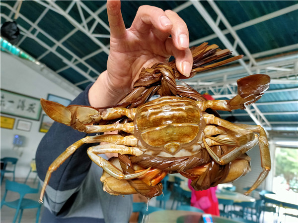上川岛旅游必去的地方,上川岛旅游美食