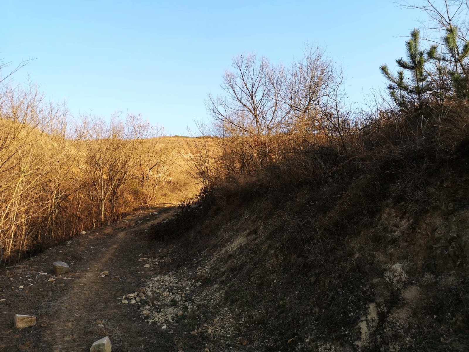 摩托周边旮旯游——探访蚌埠李楼鲁山寺遗址（上）