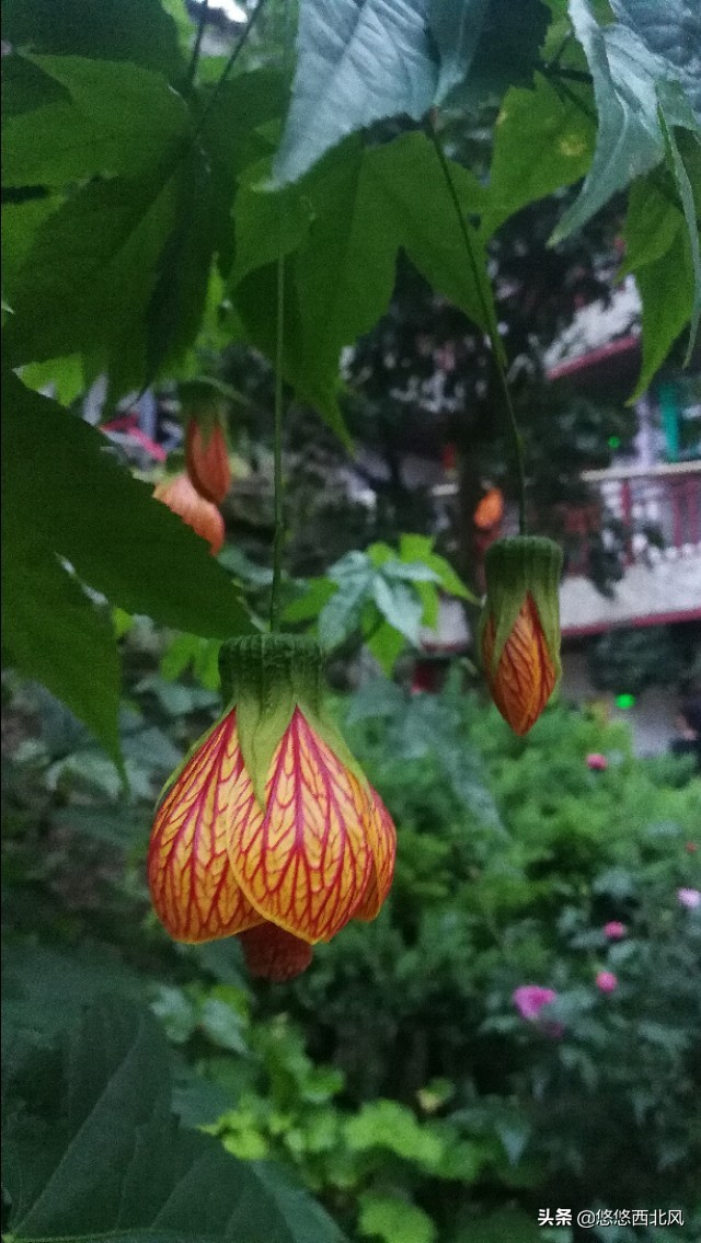 贵州行影像,贵州之旅day1