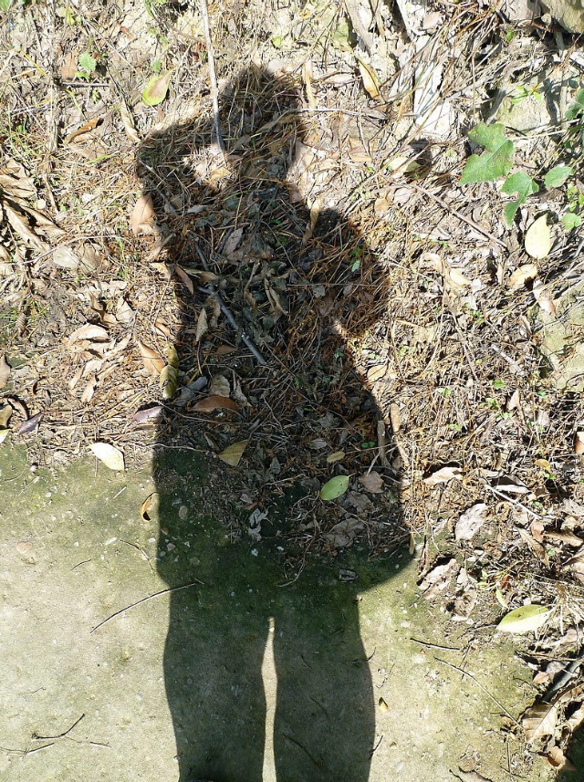 分享老照片，带你走进十年前的宝轮，还是那样的美