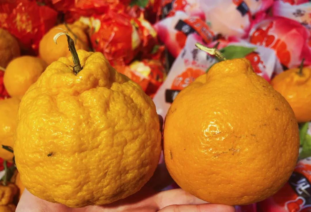 丑橘和耙耙柑有什么区别,耙耙柑和丑橘怎么区别