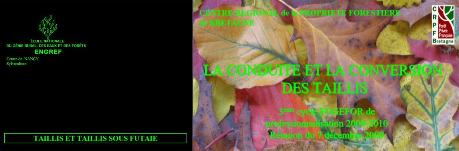 树种起源,次生林起源的特点