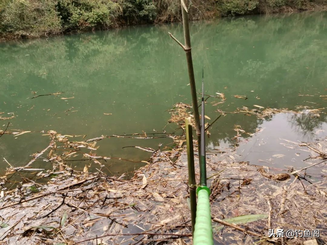 如何选择合适鱼竿的支架,鱼竿支架怎么选角度