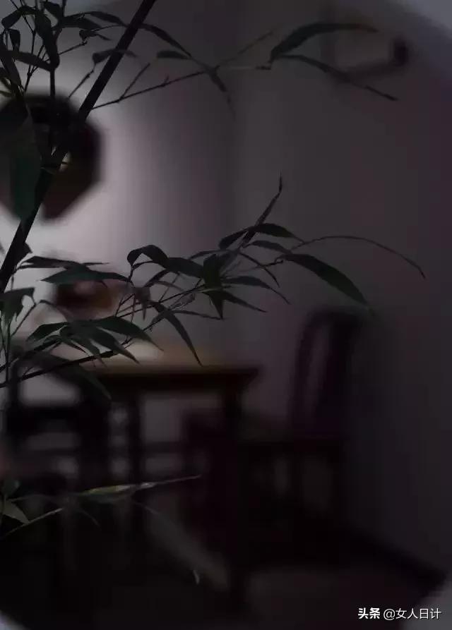 梁实秋生活美学,梁实秋生活在别处