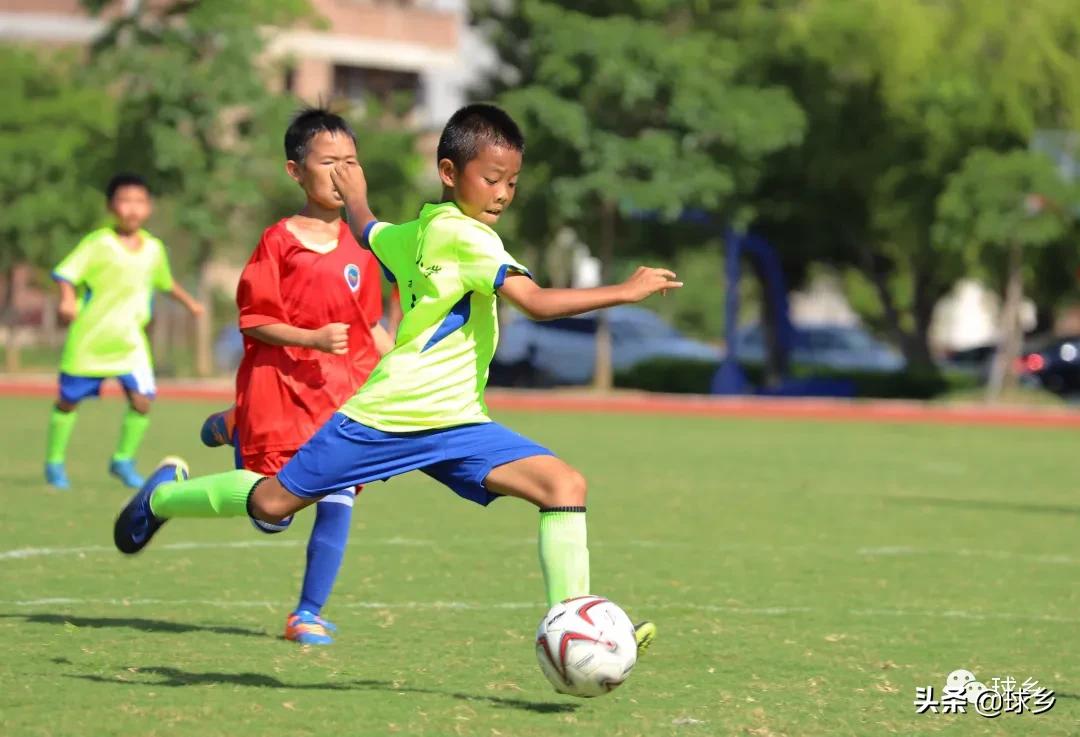 区中小学足球联赛,体教融合杯中学篮球赛