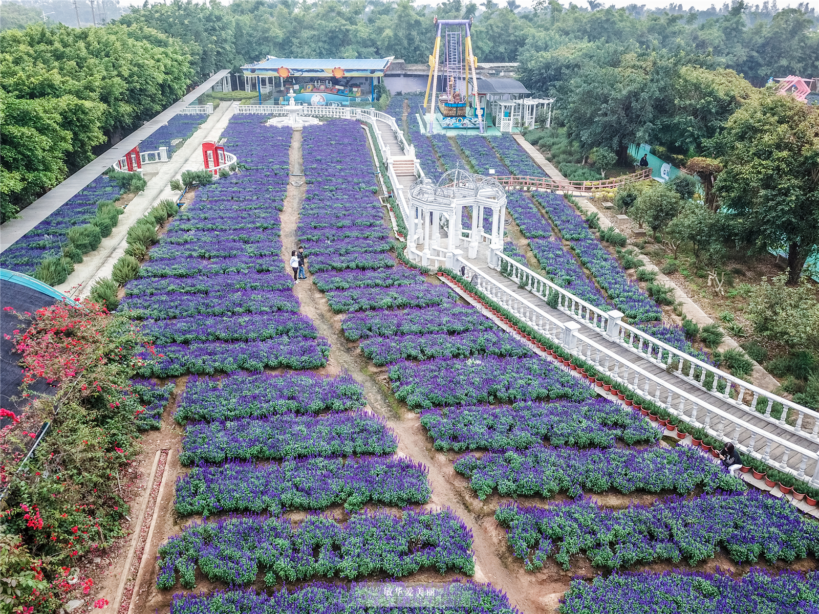 百万葵园攻略地图大全,百万葵园游玩注意事项